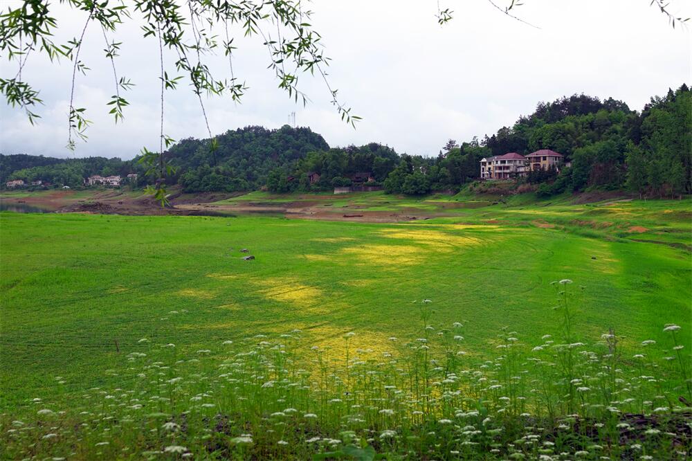 6.雨洗花容净，青滋草色新。.jpg