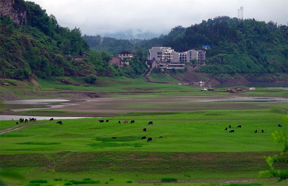 9.晨烟半湿低平野，春水初生映草青。.jpg