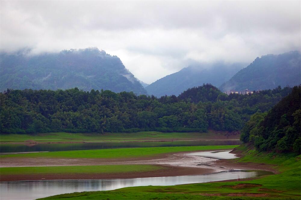 12.昨夜新雷催好雨，河畔野草最先青。.jpg